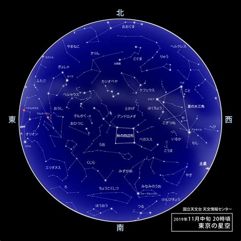 11月22號什麼星座|11月22日出生是什么星座